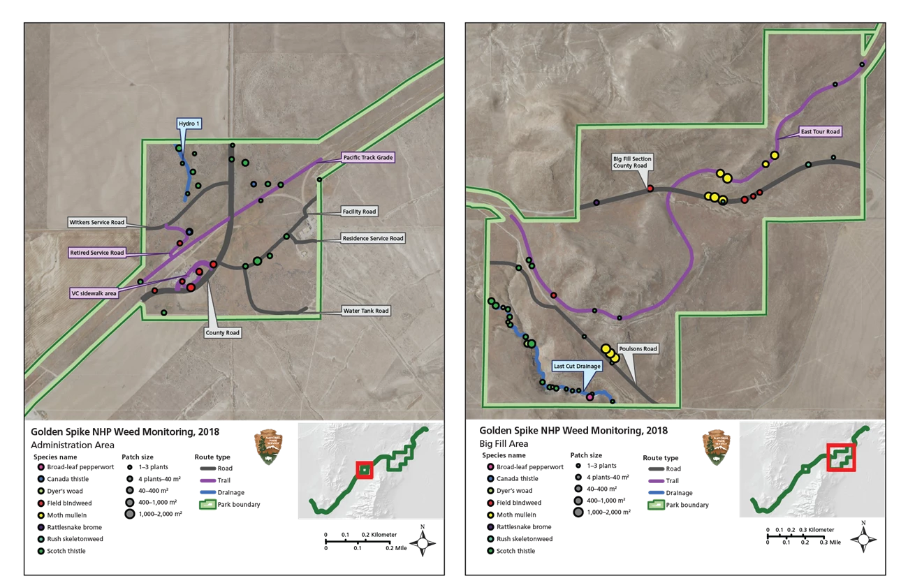 invasive plant maps Maps of monitoring areas. Monitoring routes are marked, and color- and size-coded circles indicate the type and location of invasive-plant patches.