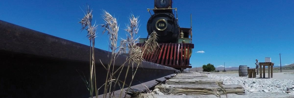 Cheatgrass at Golden Spike NHP A stand of cheatgrass grows next to railroad tracks. Photo is taken from ground level, looking up at train 119 on the tracks, which are in foreground.