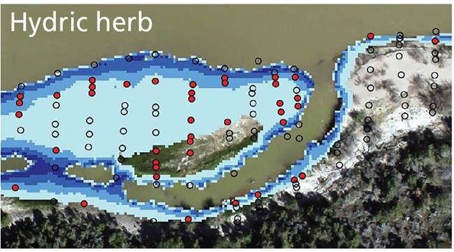 Aerial view of river detail overlain with columns of dots. Some are filled with red; others are unfilled.