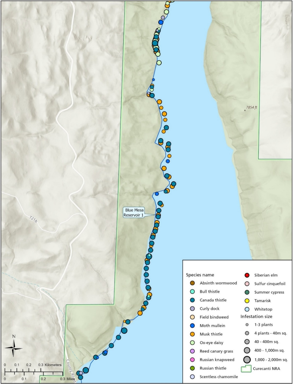 A map showing invasive plant detections along the Blue Mesa Reservoir 1 Figure 3. A map showing invasive plant detections along the Blue Mesa Reservoir 1 monitoring route at Curecanti National Recreation Area from June 21 to 27, 2023.