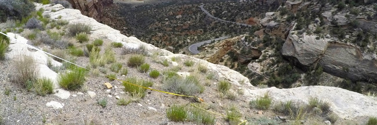 Transect tape lays on ground near cliff edge. A park road winds through the landscape below.