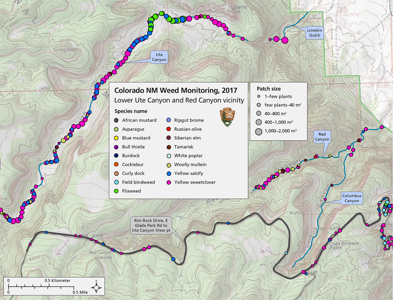 Topo map with many colored dots representing location and size of invasive exotic plant patches.