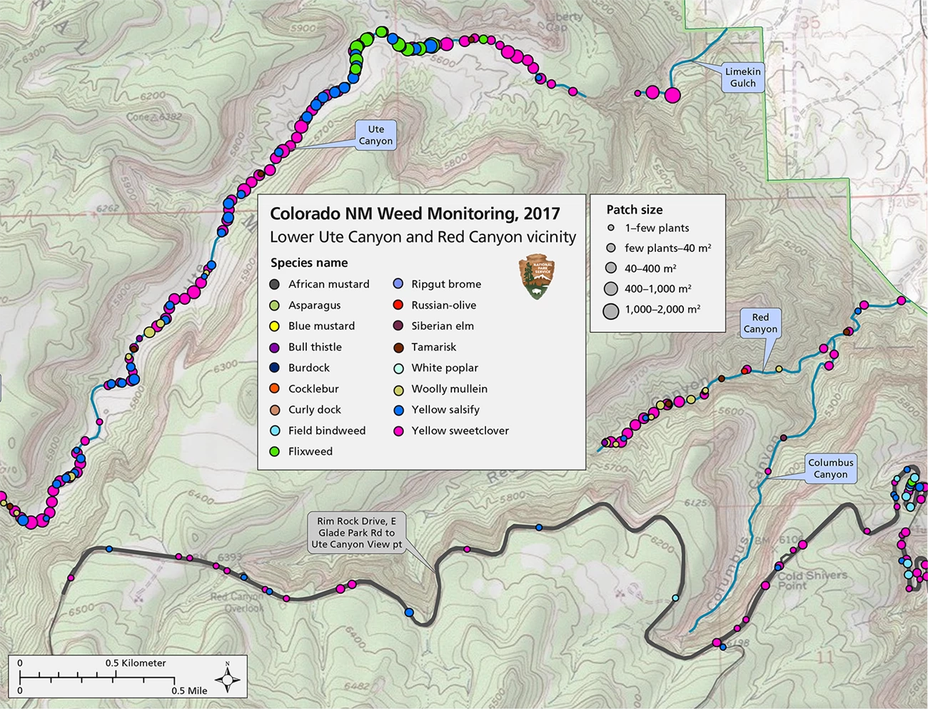 IEP map Topo map with many colored dots representing location and size of invasive exotic plant patches.