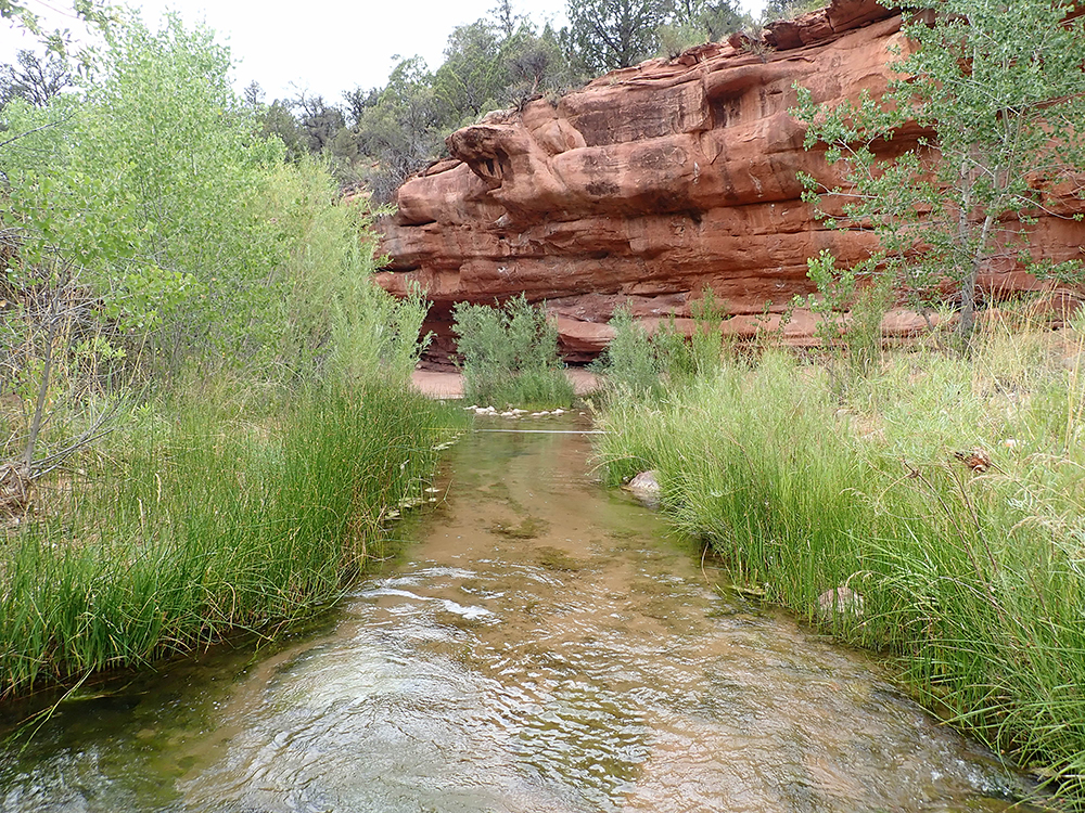 Water Quality Trends in Zion National Park, 20062016 (U.S. National Park Service)