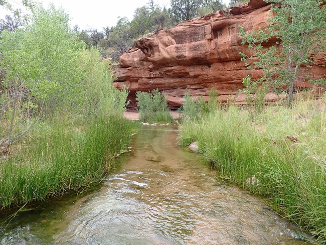 Clear-running creek with transect tape, red rock in background