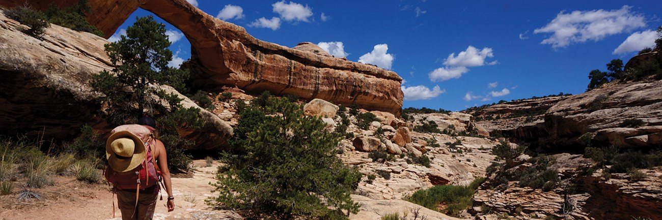 Armstrong Canyon A hiker walks past juniper bushes toward a red rock arch.