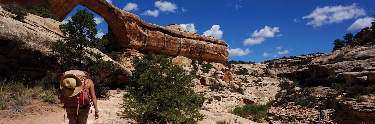 A hiker walks past juniper bushes toward a red rock arch.