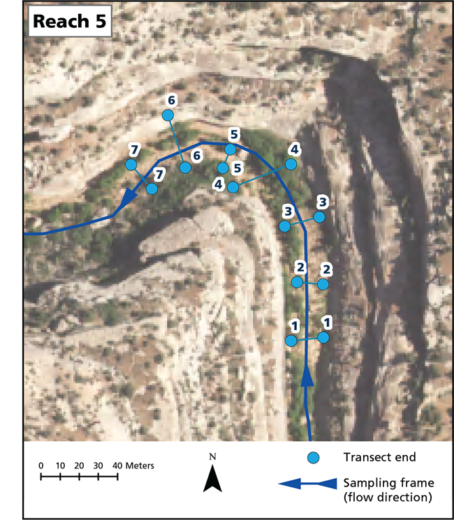Aerial view of Reach 5 with 7 transects labeled.