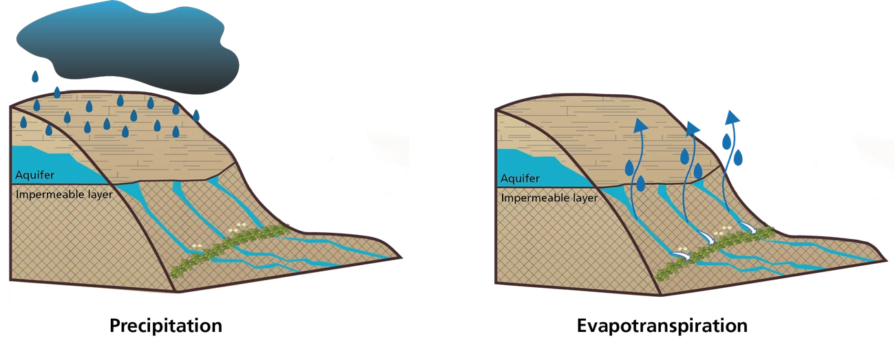 Conceptual diagrams showing precipitation and potential evapotranspiration processes at springs. Conceptual diagrams showing precipitation and potential evapotranspiration processes at springs.