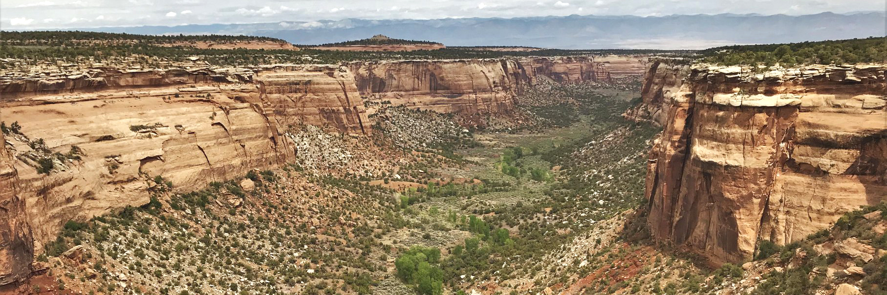 Wide red rock canyon filled with green vegetation, mountains in background.