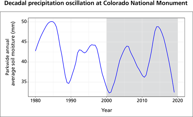 Chart with blue line showing decadal oscillation of precipitation over time