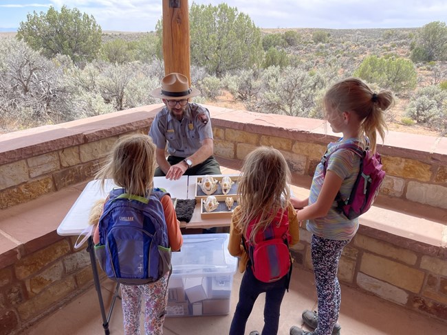 Ranger Programs NPS/N. Barber Ranger talks with three children at a table with animal skulls