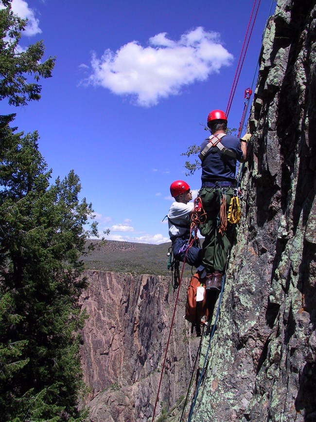 Rock climbers NPS Two climbers scale a vertical canyon wall with ropes and safety gear.