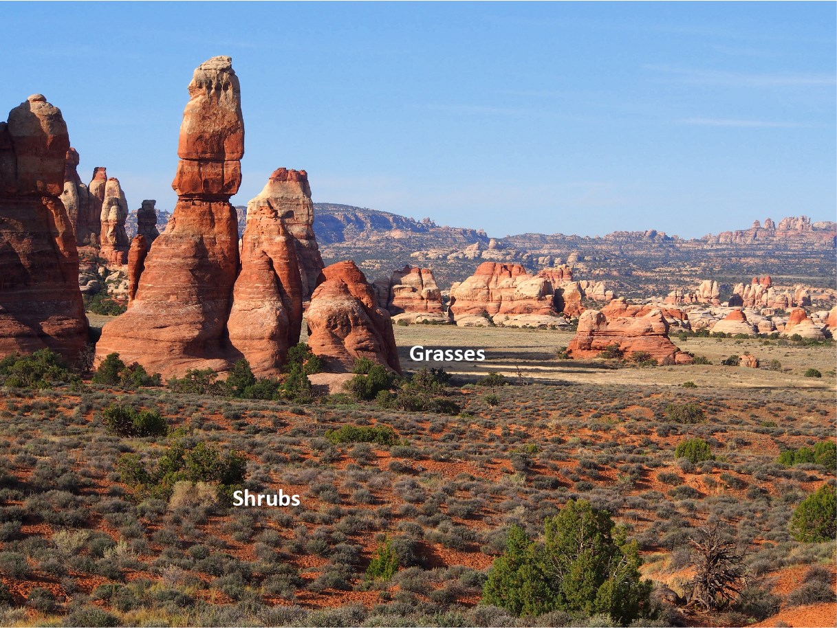 Red rock landscape with areas of shrubs and grass labeled