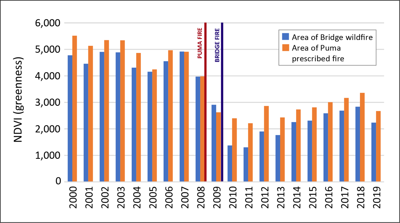 chart Bar chart showing level of "greenness" after a wildlife and prescribed fire over 20 years