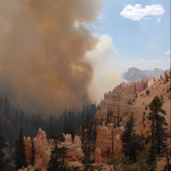 A glowing smoke plume rises above red rock hoodoos and pine trees