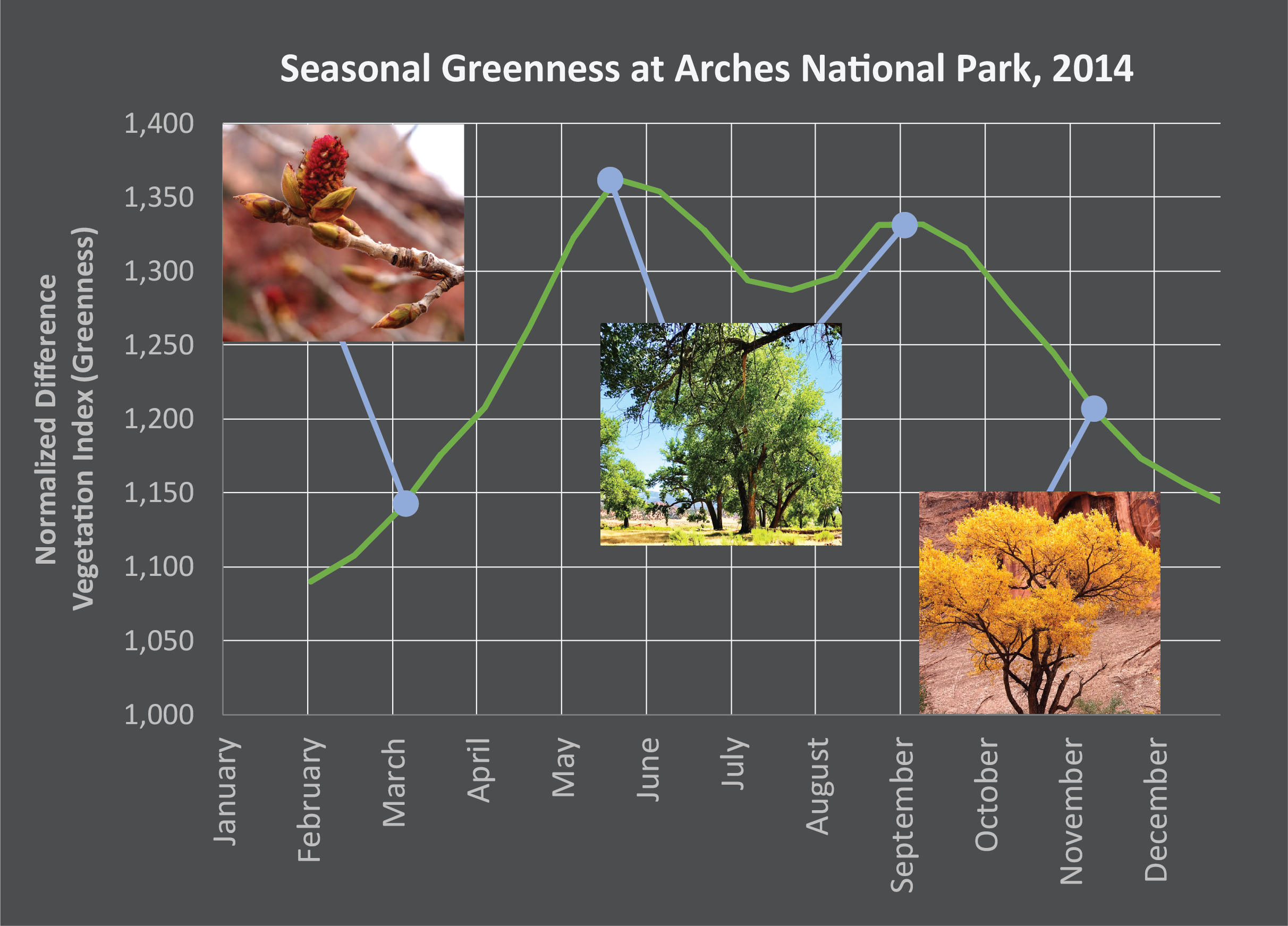 Line graph showing level of “greenness” across the months of one year. Three photos of plant life illustrate different points on the timeline.