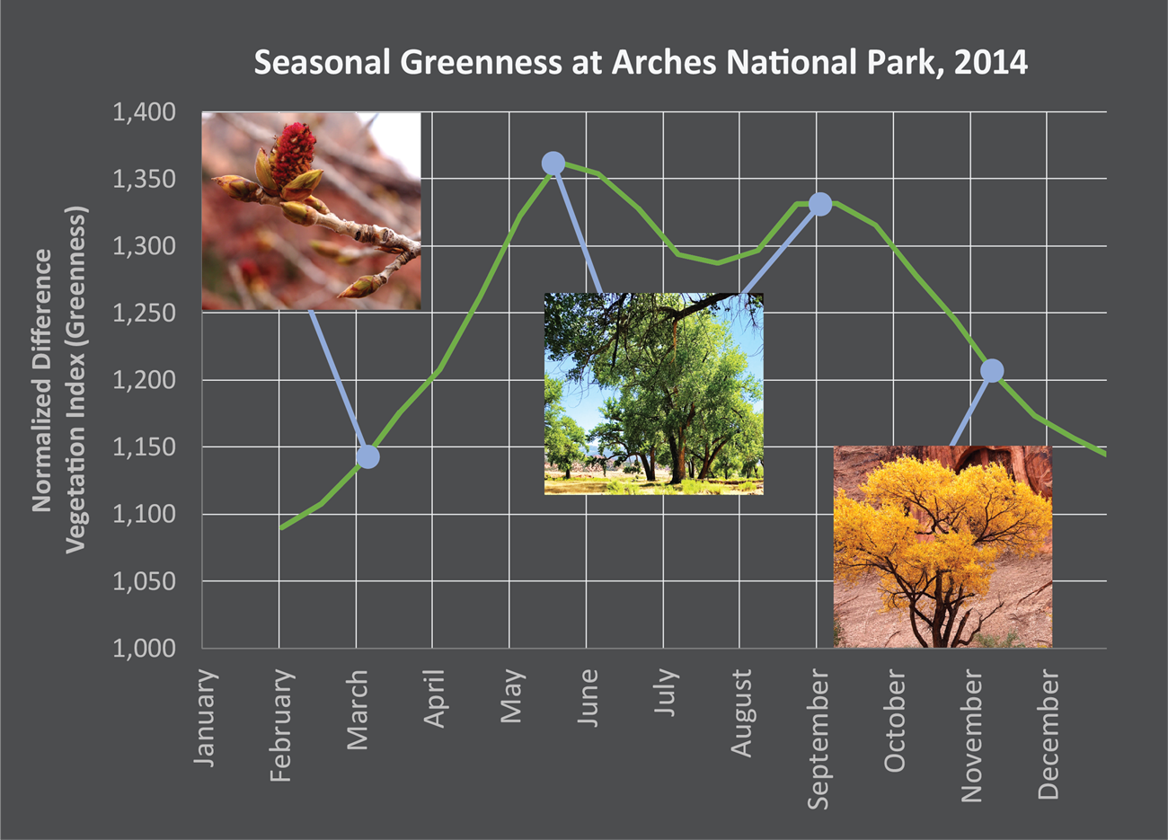 chart Line graph showing level of “greenness” across the months of one year. Three photos of plant life illustrate different points on the timeline.