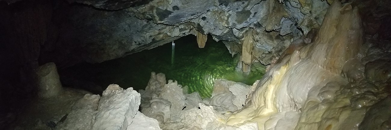 Green pool surrounded by cave formations.