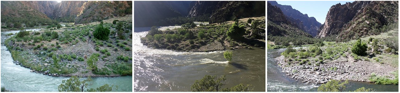 Photo sequence showing riparian river bank before and after a scouring flood