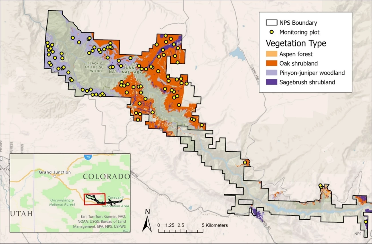 Western portion of upland monitoring at Black Canyon of the Gunnison NP and Curecanti NRA Upland plots are distributed randomly in four vegetation types at Black Canyon of the Gunnison NP and Curecanti NRA. The park units are in western Colorado.