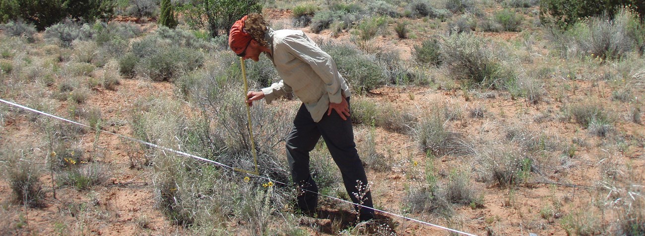 A Closer Look at When Grasses Need a Drink: Soils, Precipitation