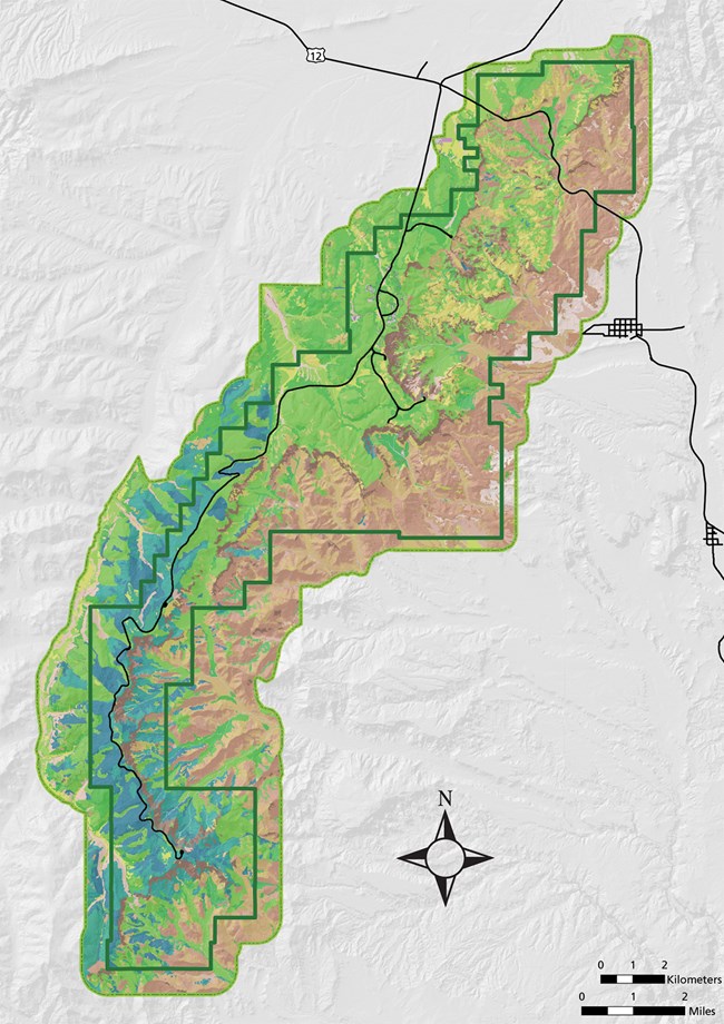 Map of Bryce Canyon NP with GIS vegetation layers Map of Bryce Canyon NP with GIS vegetation layers