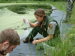 A woman sitting next to a pond examines a salamander held in a plastic bag.