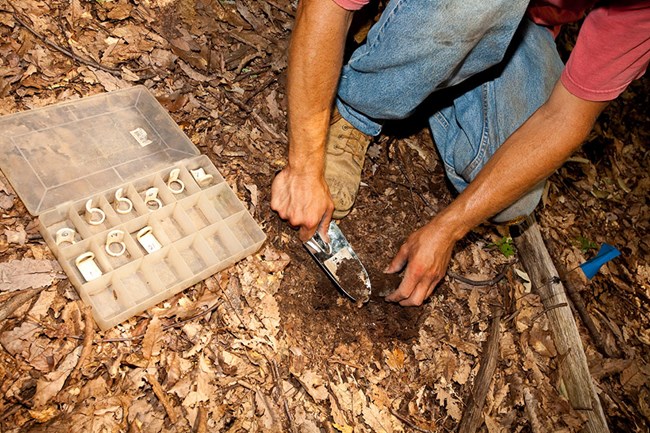 A man kneels to dig a small hole with a trowel in the forest floor.