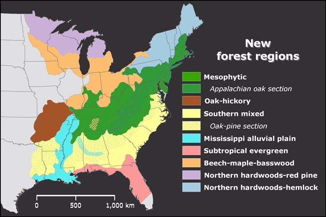 Map of Eastern Deciduous Forest Regions