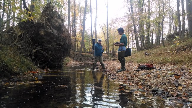 Two scientists stand to take measurements of water in a forest stream.