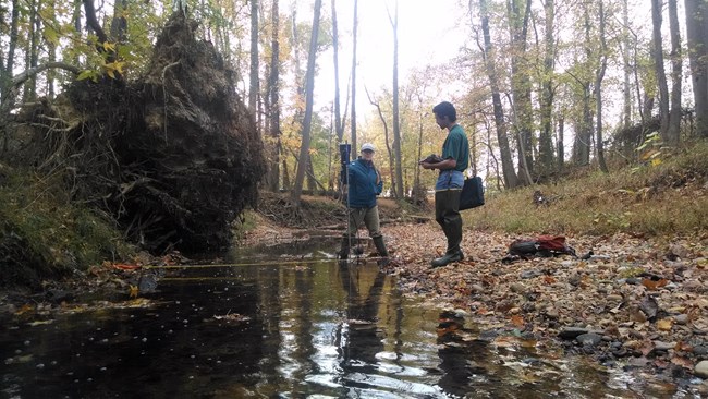 Stream Monitoring Two scientists stand to take measurements of water in a forest stream.