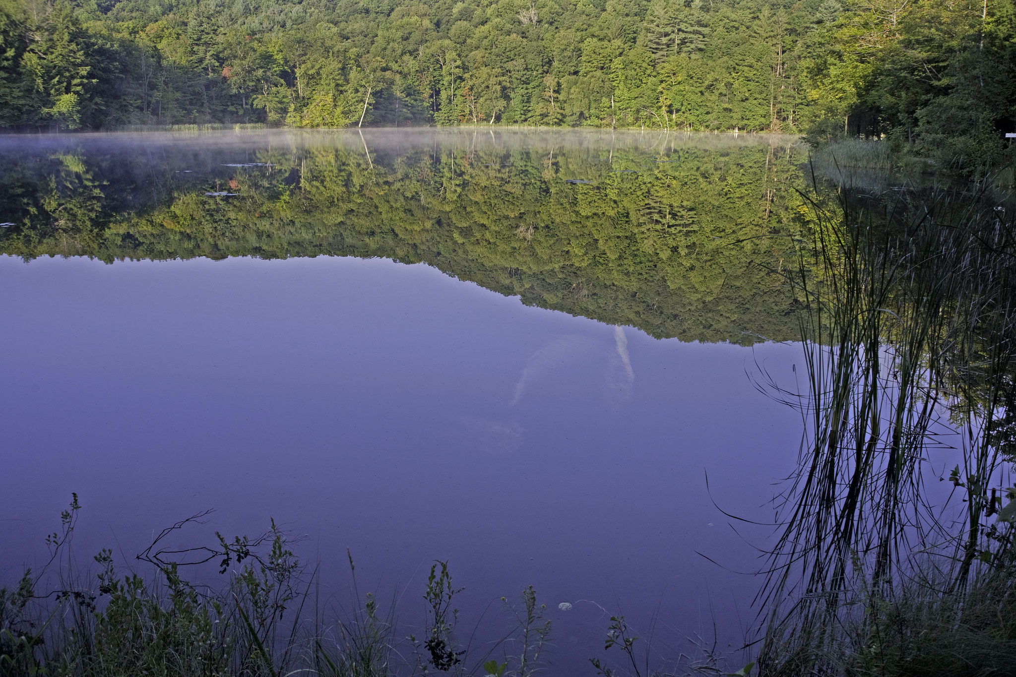 Green hills and blue skies reflect on the surface of a calm pond.