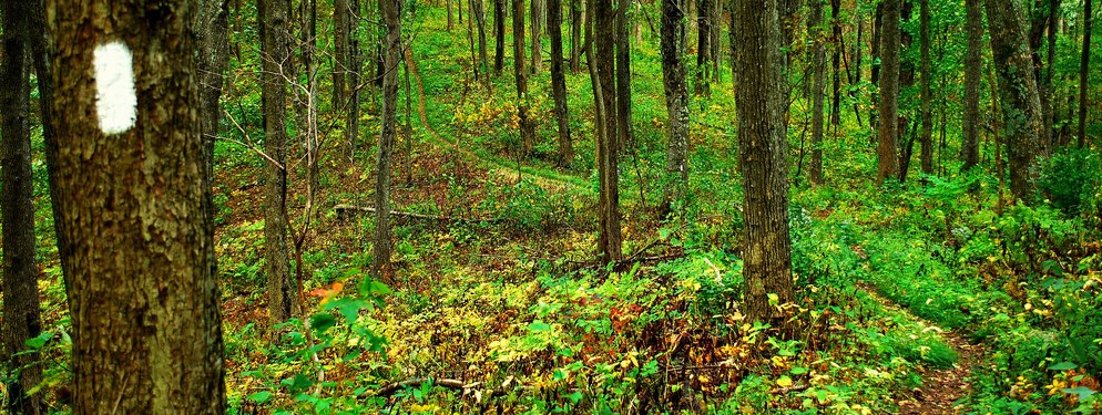 Appalachian trail scenery Appalachian trail scenery