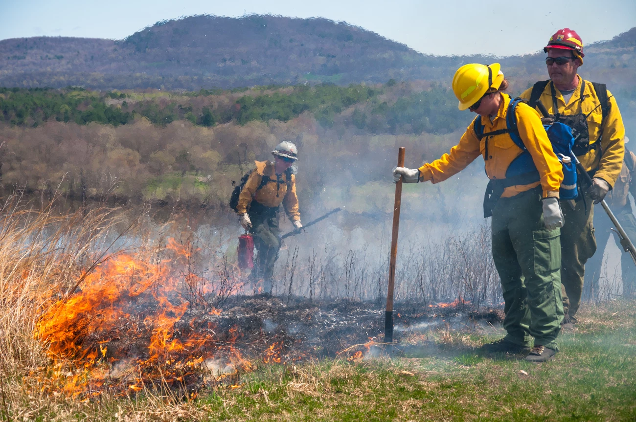 NPS Wildland Firefighters tend to a fire at the hilltop at Stop 9 NPS Wildland Firefighters tend to a prescribed fire at the hilltop at Stop 9