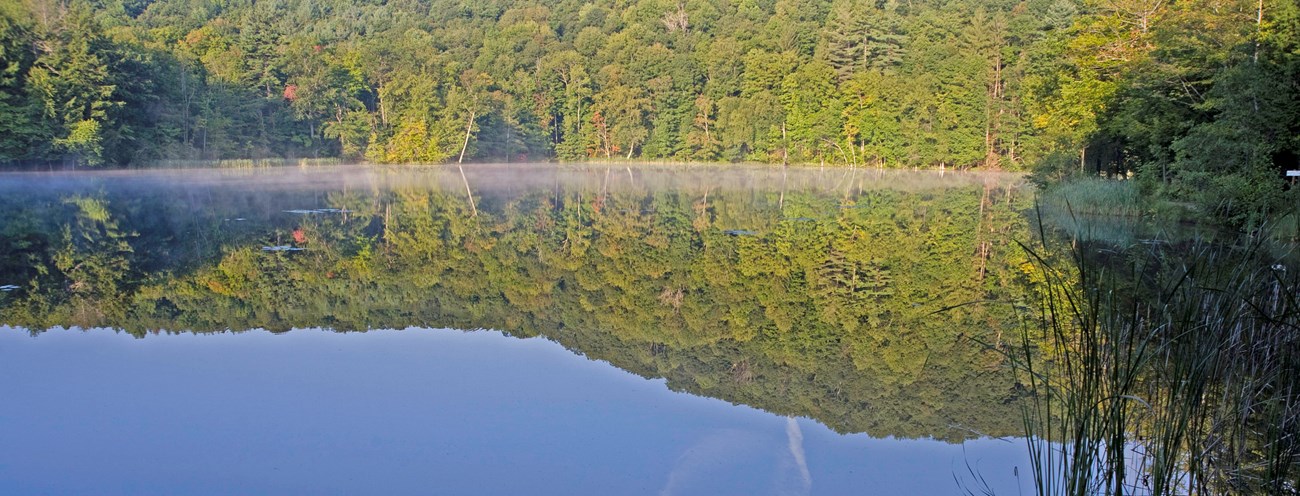 Pogue Pond reflection