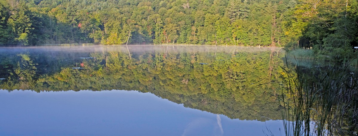 Pogue Pond reflection Pogue Pond reflection