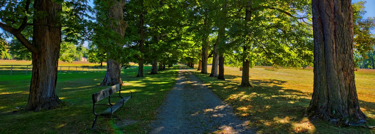 Scenic trail in Home of FDR NHS Scenic trail in Home of FDR NHS
