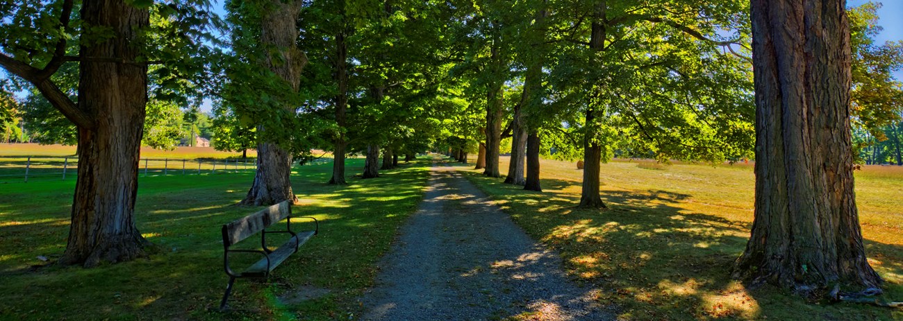 Scenic trail in Home of FDR NHS