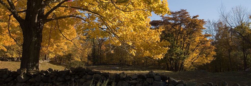 A fall day at Weir Farm NHS