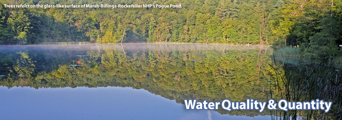 Green trees reflect on the still surfaces of a large pond. Green trees reflect on the still surfaces of a large pond.