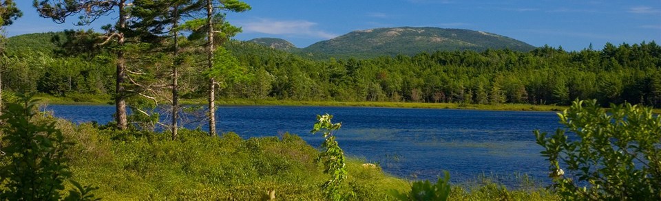 Acadia's Witch Hole Pond