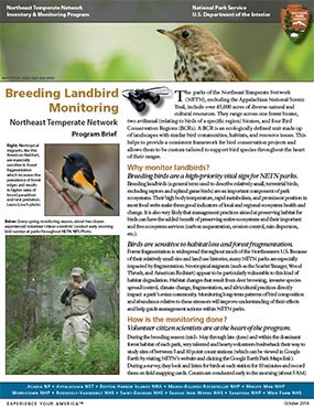 Landbird program brief