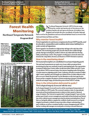 forest health brief