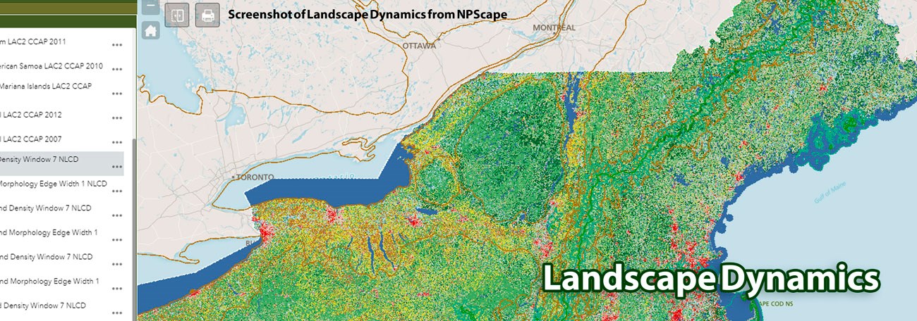 landscape banner