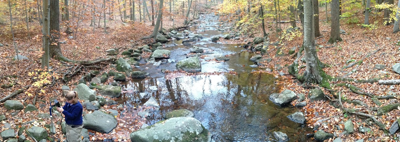 Water Quality Monitoring on Morristown NHP's Passaic River.