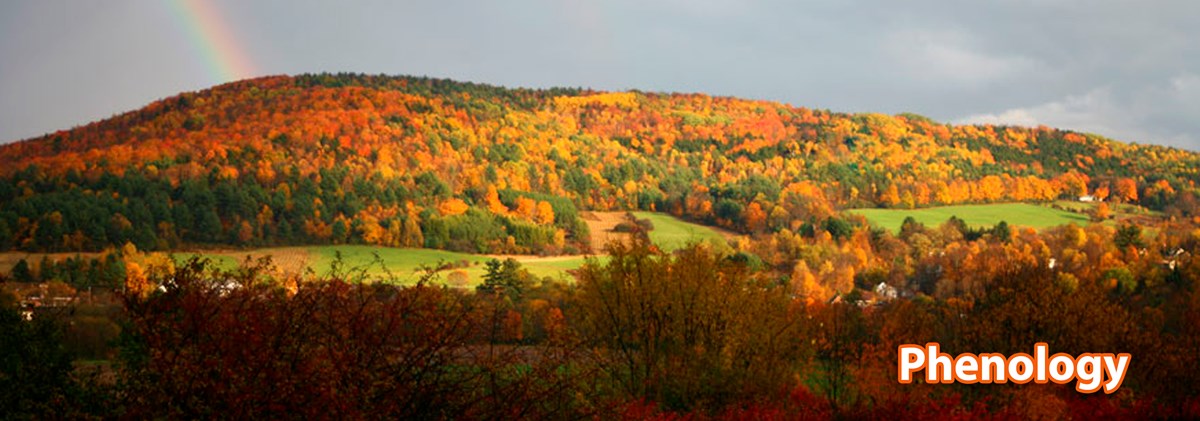 Bright fall foliage colors blanket a hill int the distance. A rainbow can be seen in the background. Bright fall foliage colors blanket a hill int the distance. A rainbow can be seen in the background.