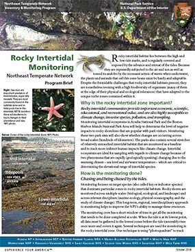 Rocky intertidal program brief