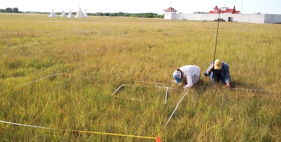 two people crouched in the grass looking at plants in a square thats placed on the ground