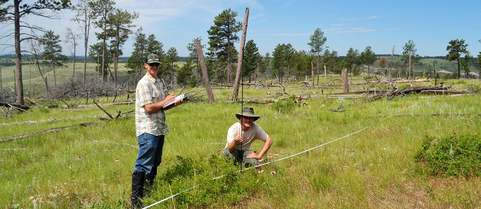 Plant community monitoring at Jewel Cave NM One person stands with a clipboard while another crouches in the grass holding a measuring rod